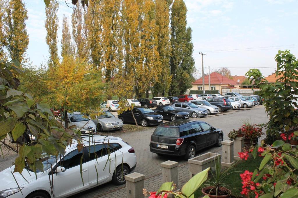 凯奇凯梅特Bajor Panzio住宿加早餐旅馆 外观 照片